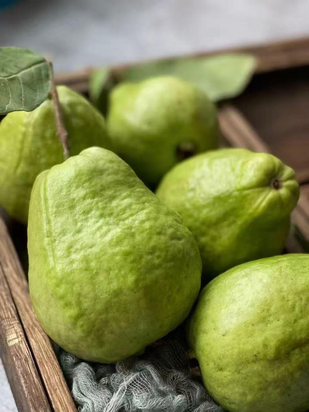 海南简直是热带水果的天堂🍍🥥，北方朋友一来就像进了“水果大观园”，很多水果听