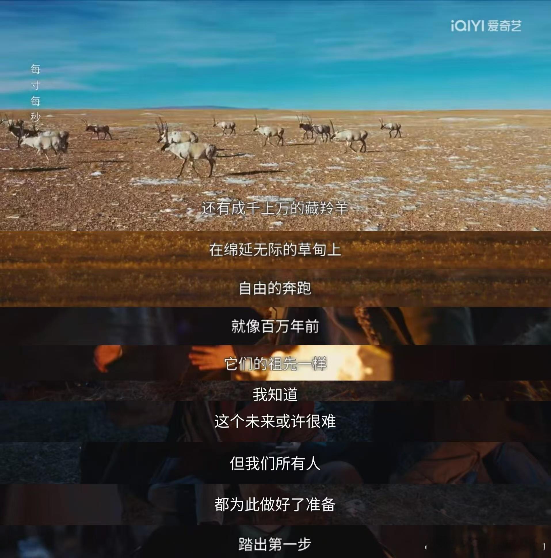 看完生命树想去青海了《生命树》不止故事动人，更把青海的极致风光拍进心底！雪山、戈