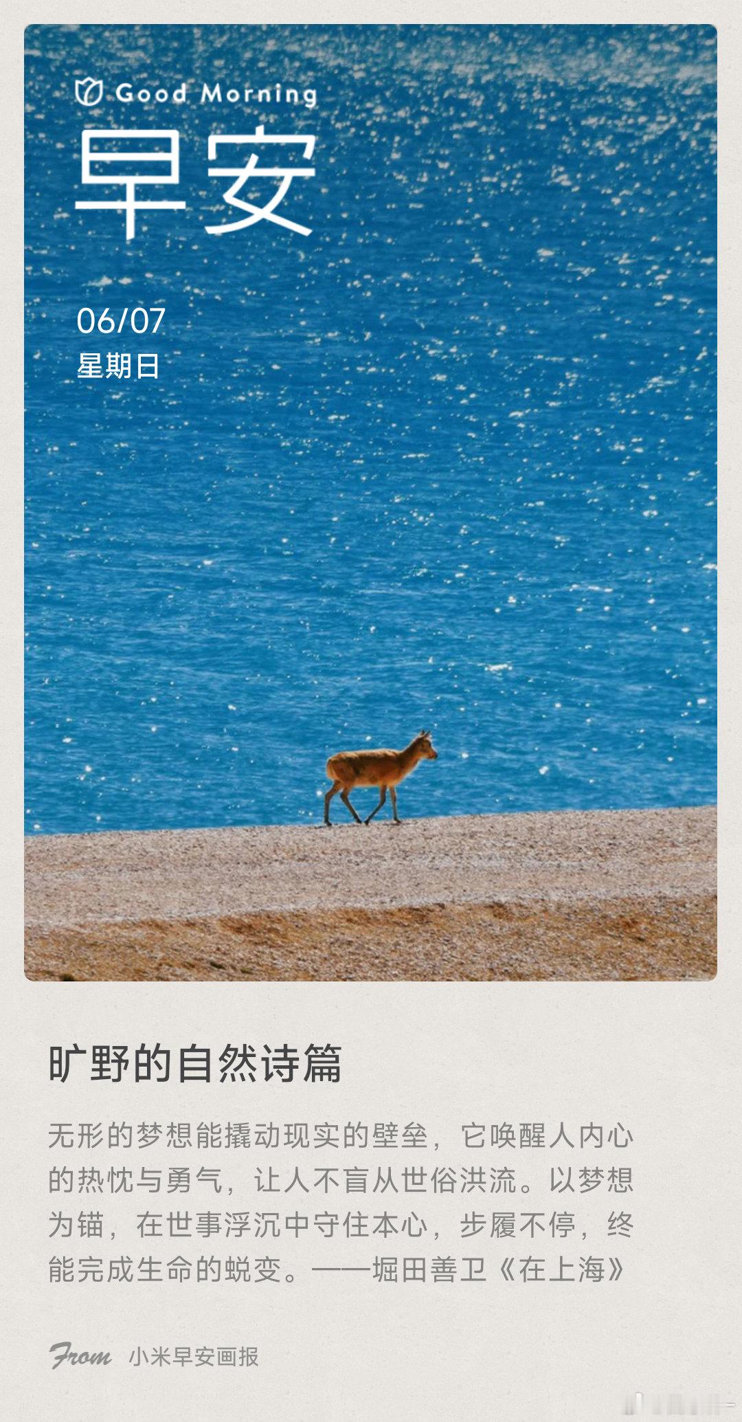 旷野的自然诗篇： 无形的梦想能撬动现实的壁垒，它唤醒人内心的热忱与勇气，让人不盲