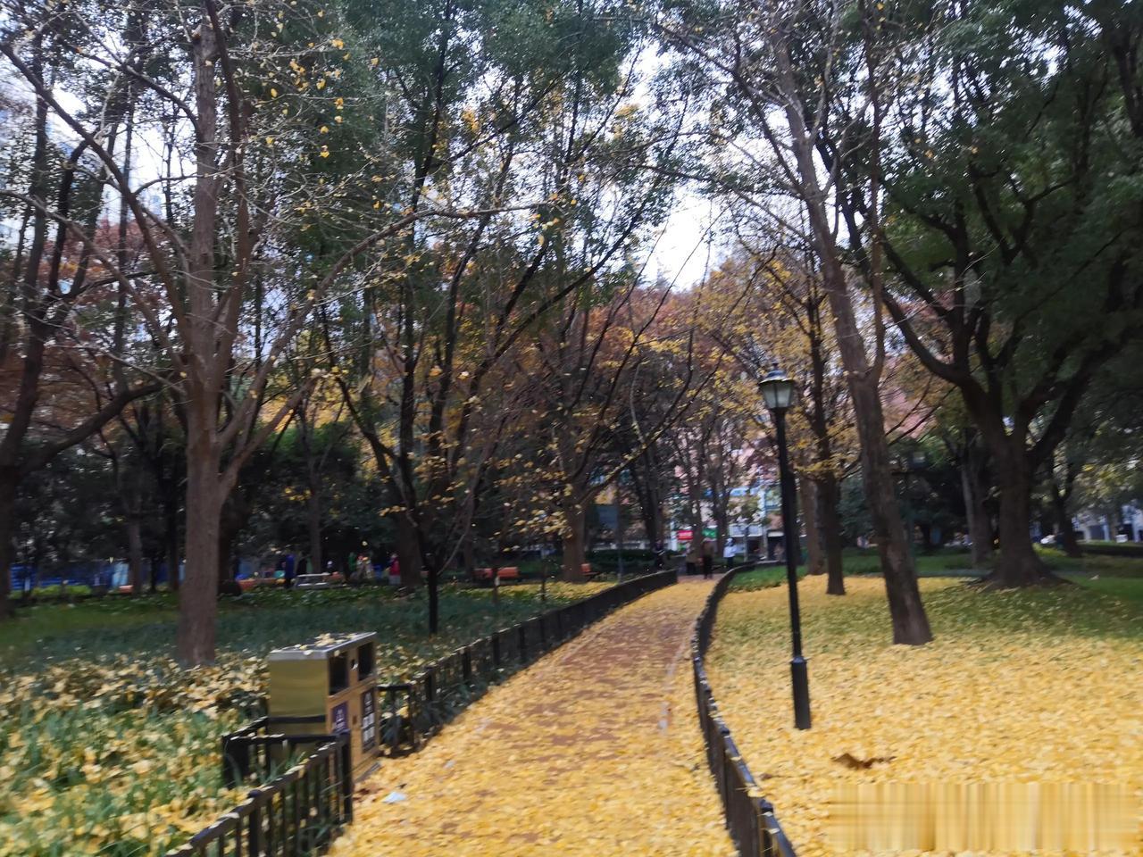 早上好！水到尽头是风景，人到绝境是重生！逆境才能提升格局和智慧！