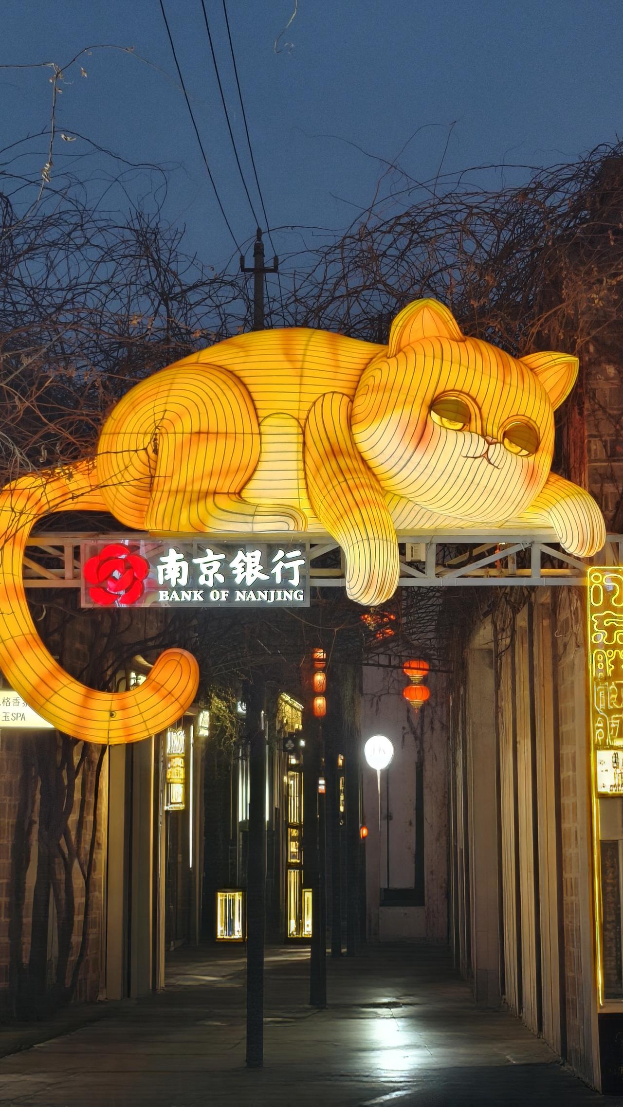 大年初六老门东还是这么多人，感觉连这只猫猫天天看人头攒动都看累了。南京