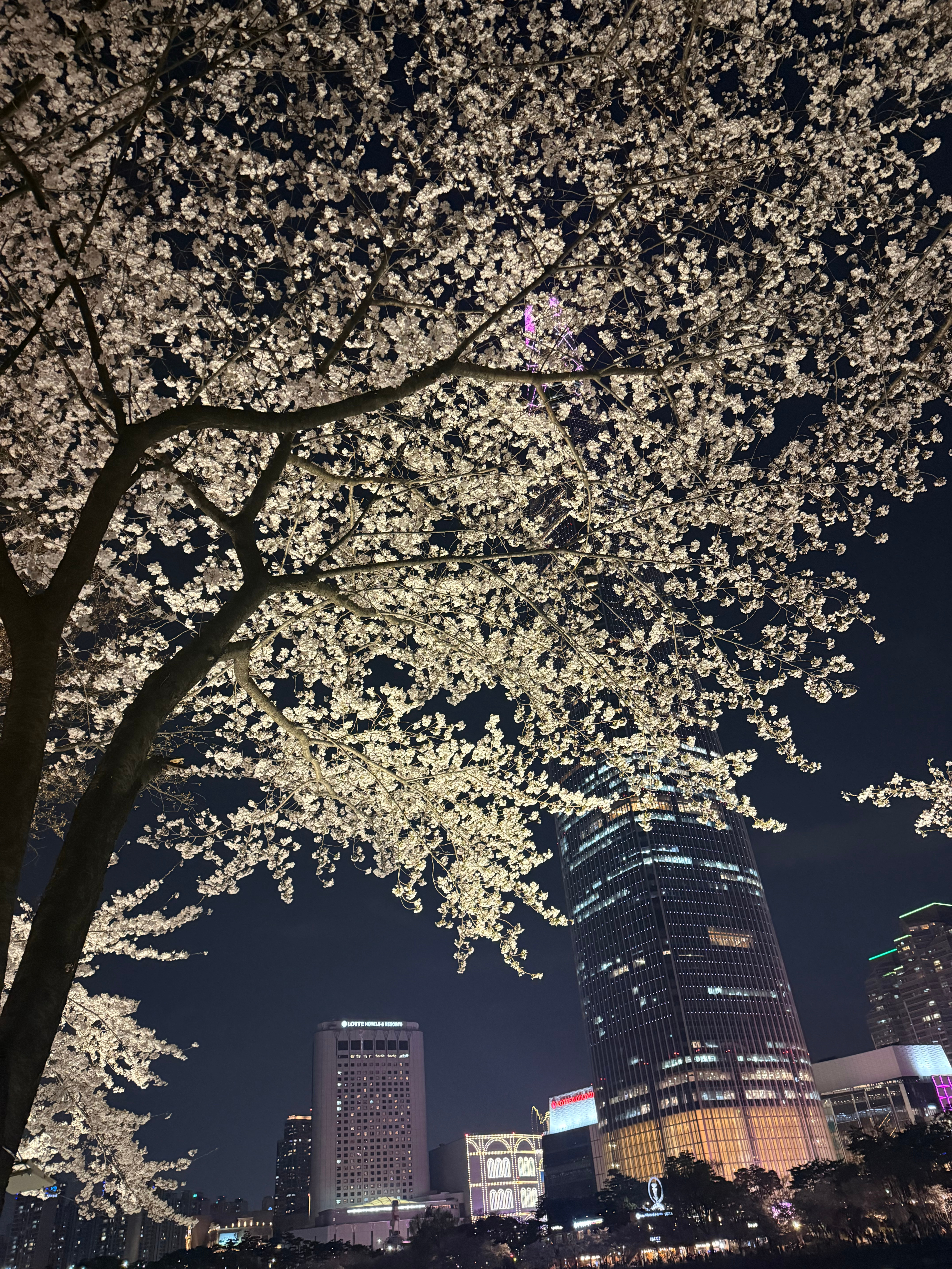 以前不懂，原来人群中，长相稍微姿色和优秀就会招来一些莫名的讨厌。那就偷偷讨厌吧，