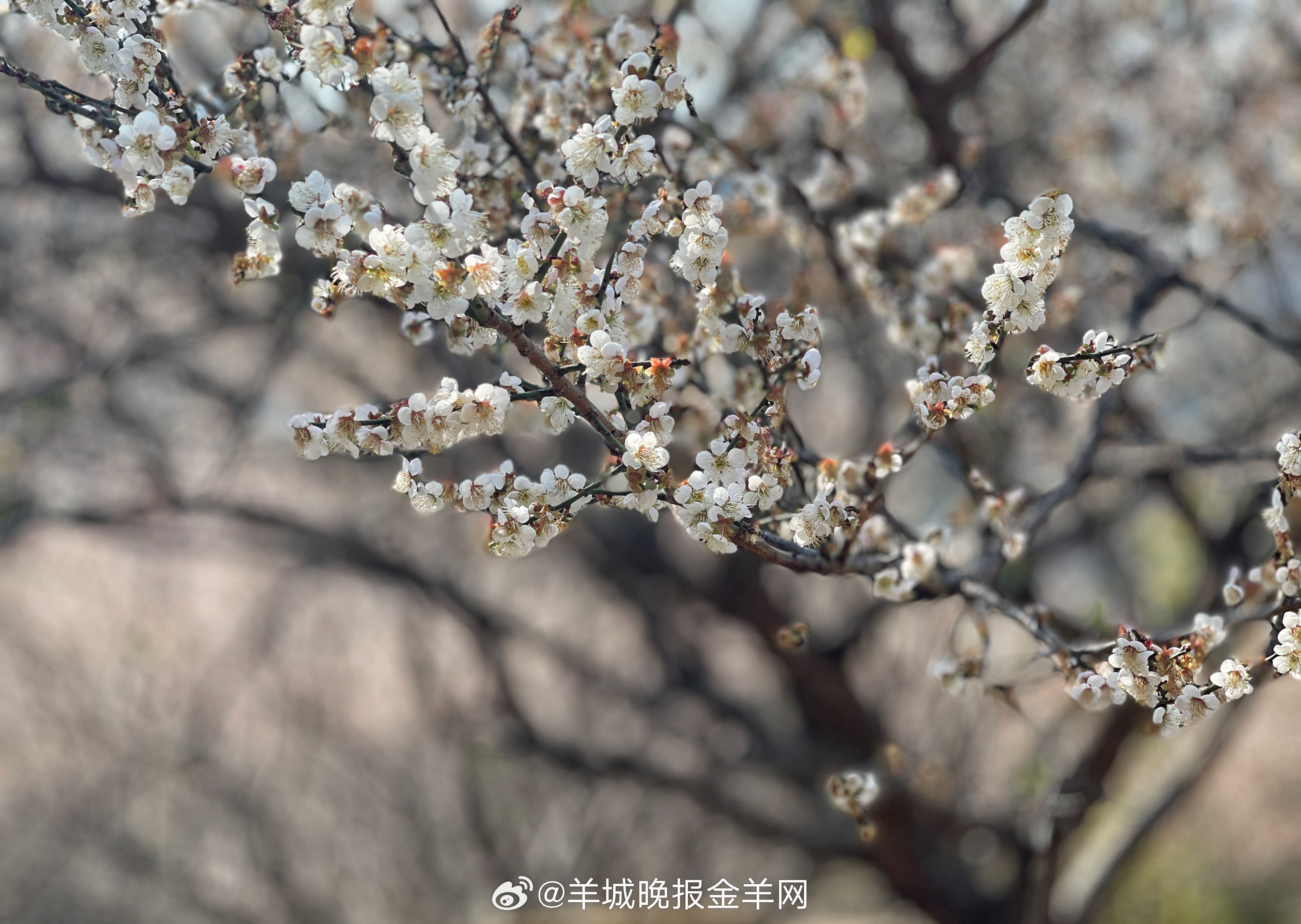 #晚安# 生活从不会辜负认真奔跑的人——那些未竟的目标、小失误的遗憾，都是明天惊