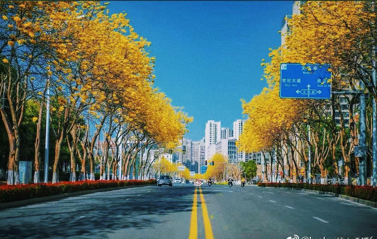 我们小城迎接春天啦 
万物复苏 春暖花开
马路上花儿都盛开了
今天天气非常好
感