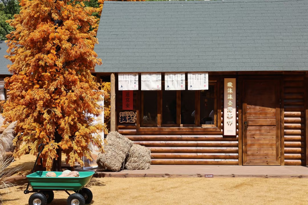 像不像阿勒泰家人们！