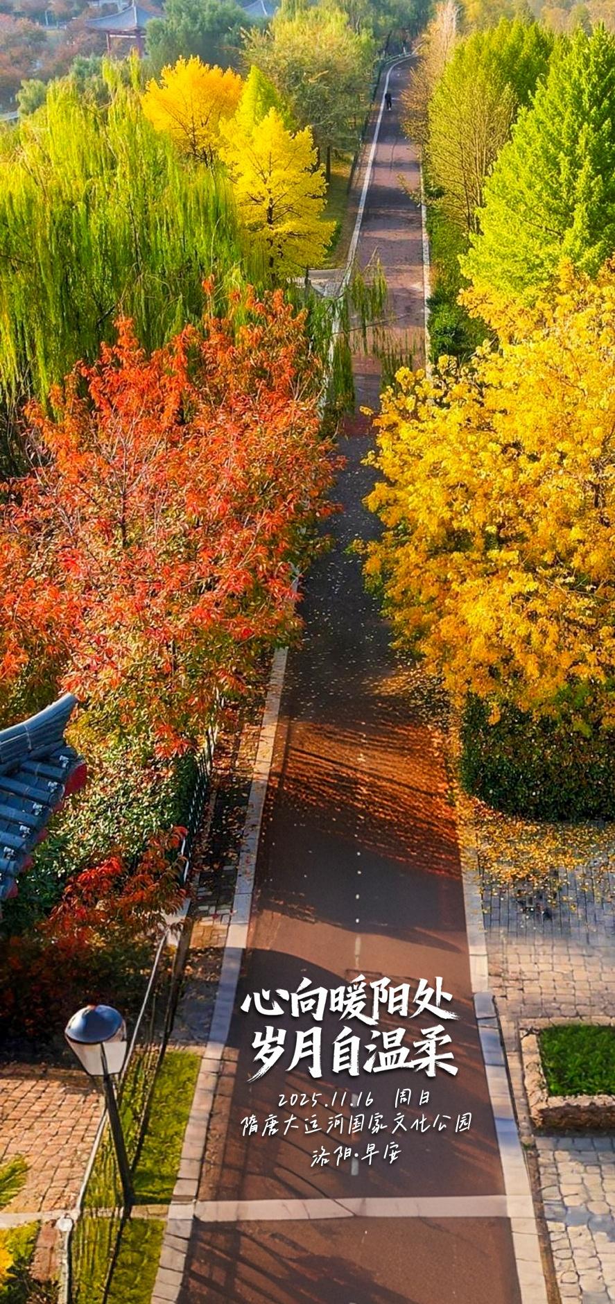 【洛阳·早安】心向暖阳处，岁月自温柔。早安 洛阳姑娘勇夺全运会金牌