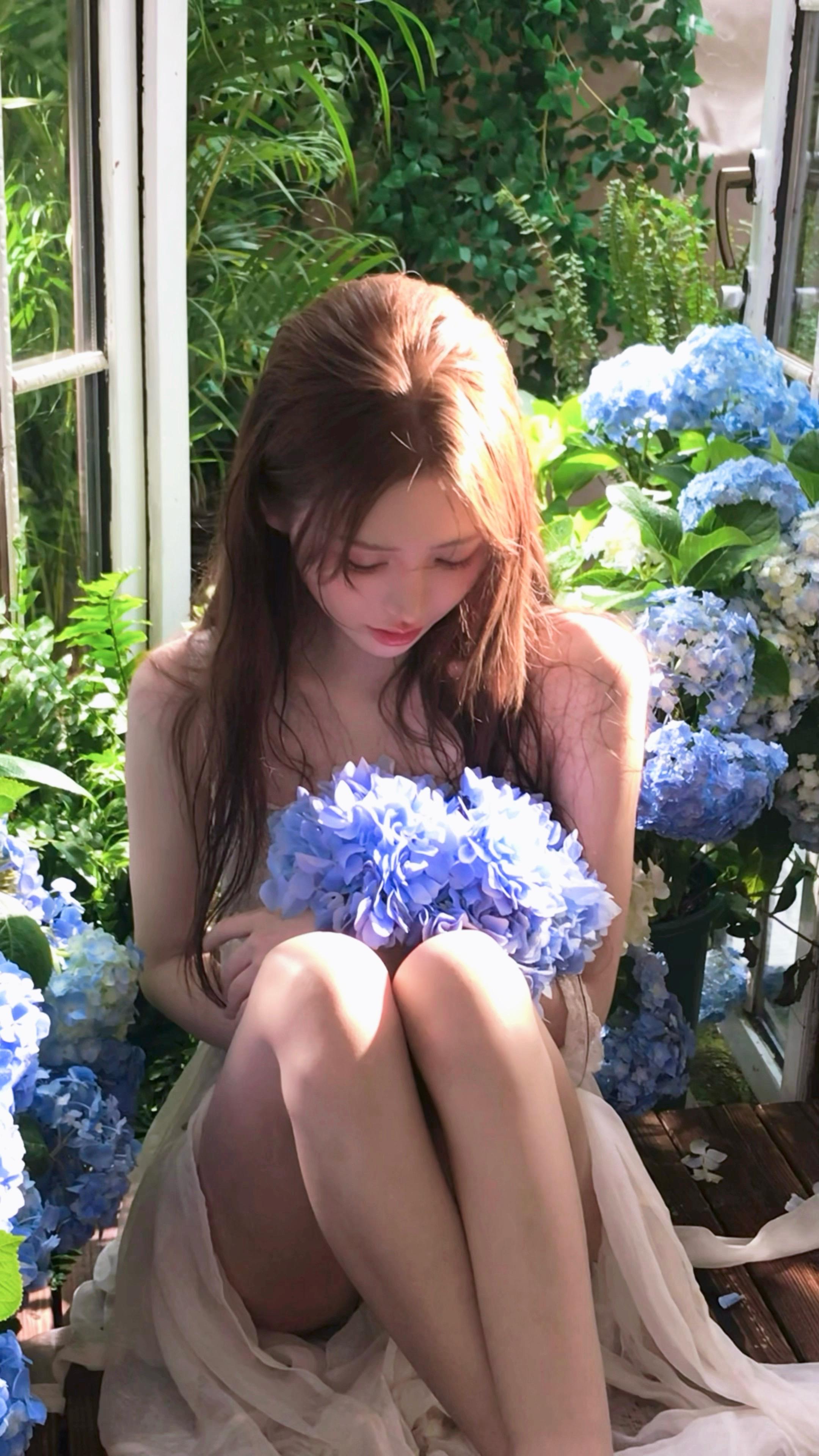 绣球花