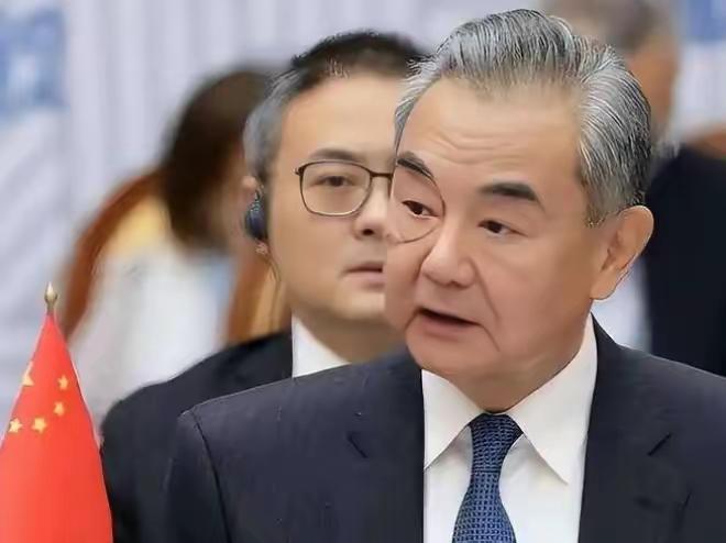 7月21日王外长会见欧洲议会外事委员会主席迈克阿里斯特，这会见意义重大。王毅欢迎