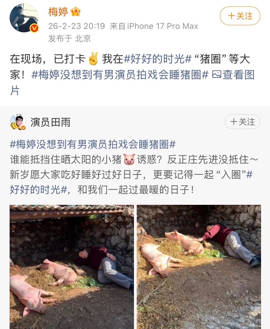 梅婷打卡猪圈梅婷说我在猪圈等大家大型连续剧来着，梅婷：我在好好猪圈等大家 