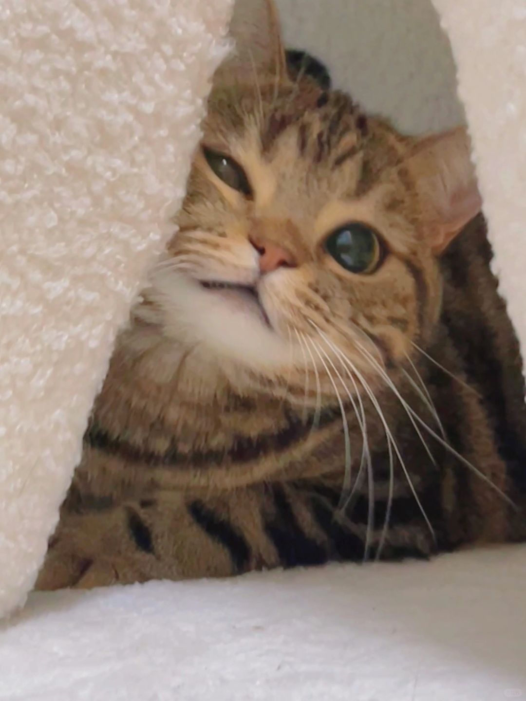 宝宝会撒娇！！