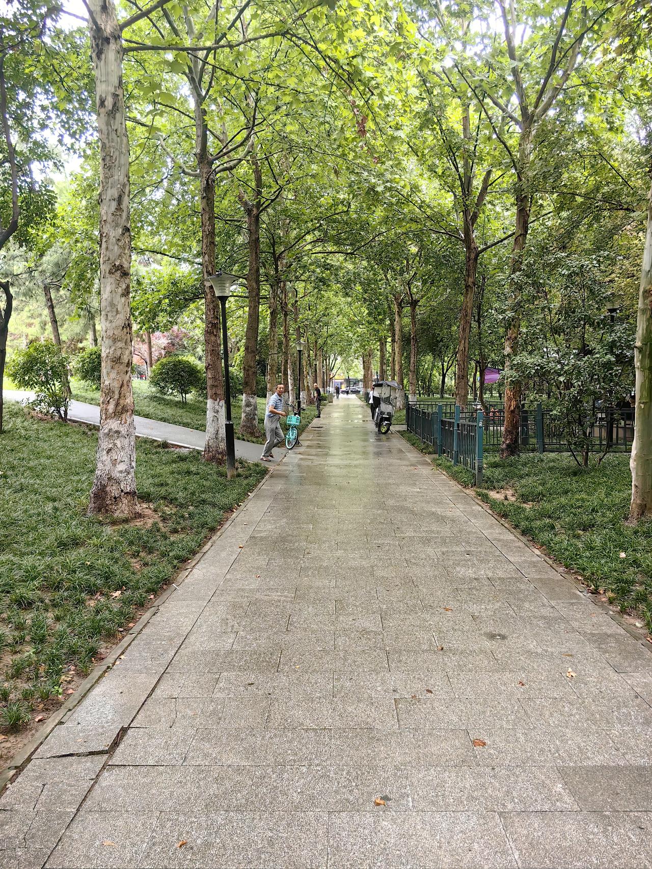 蒙蒙细雨中到公园里漫步，碰到两个老园林工人在拔草

今天是2026年8月2日，星