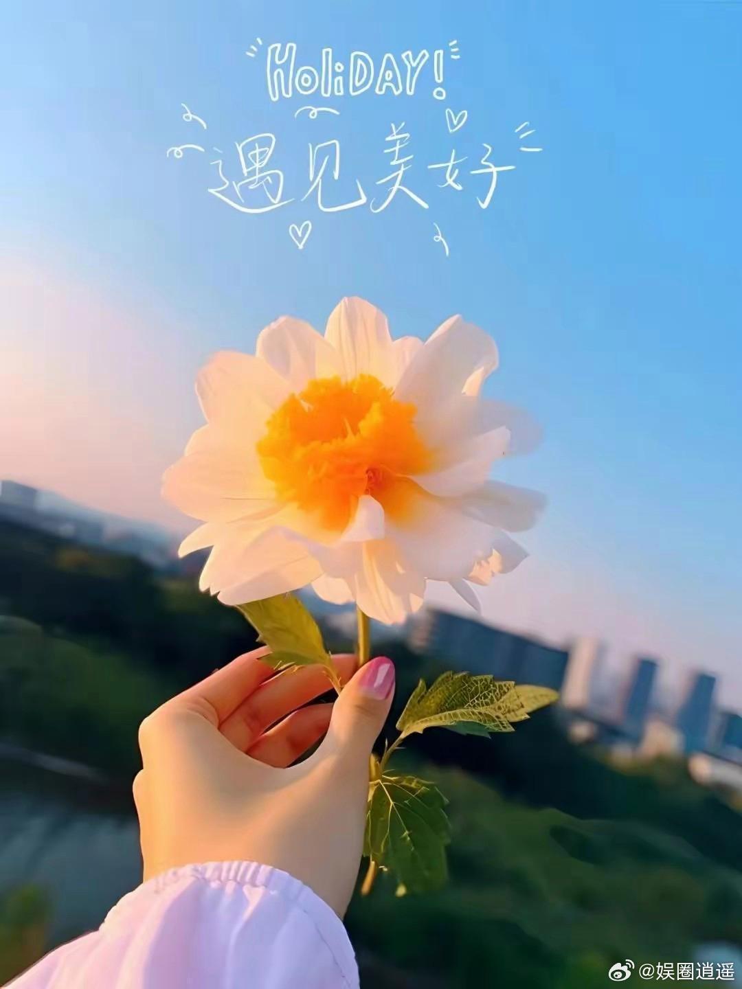 ⡱.²⁰²³/₁₂.₁₃ ꫛꫀꪝ❥૮˶ᵔ ᵕ ᵔ˶ა ⸜✿⸝ ᐝ生活是一面镜子，