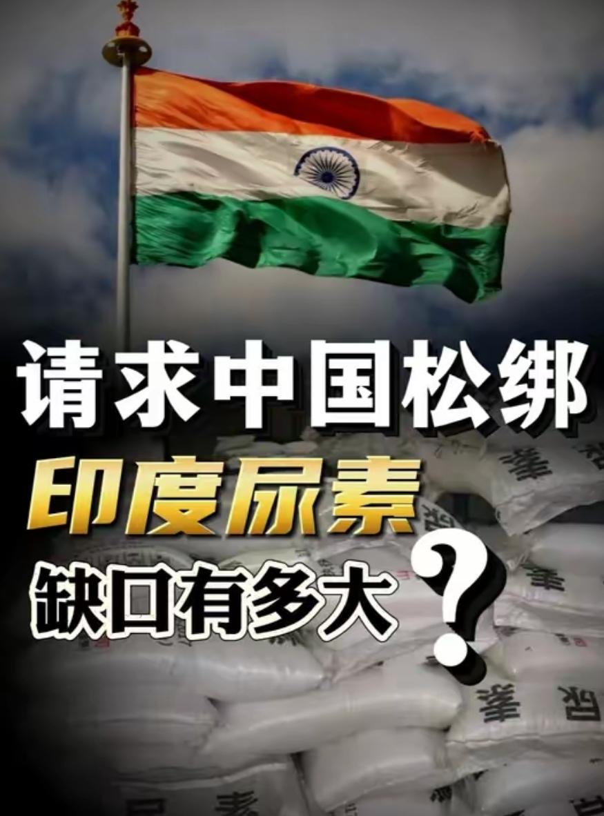 中国不能当滥好人：牢记当年的深刻教训，现在拉印度一把就是资敌！

据路透社和彭博