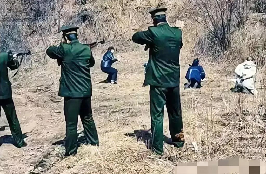 1983年，严打时期，郊外刑场，几名武警举枪瞄准跪在地上的罪犯，这一幕扣人心弦的
