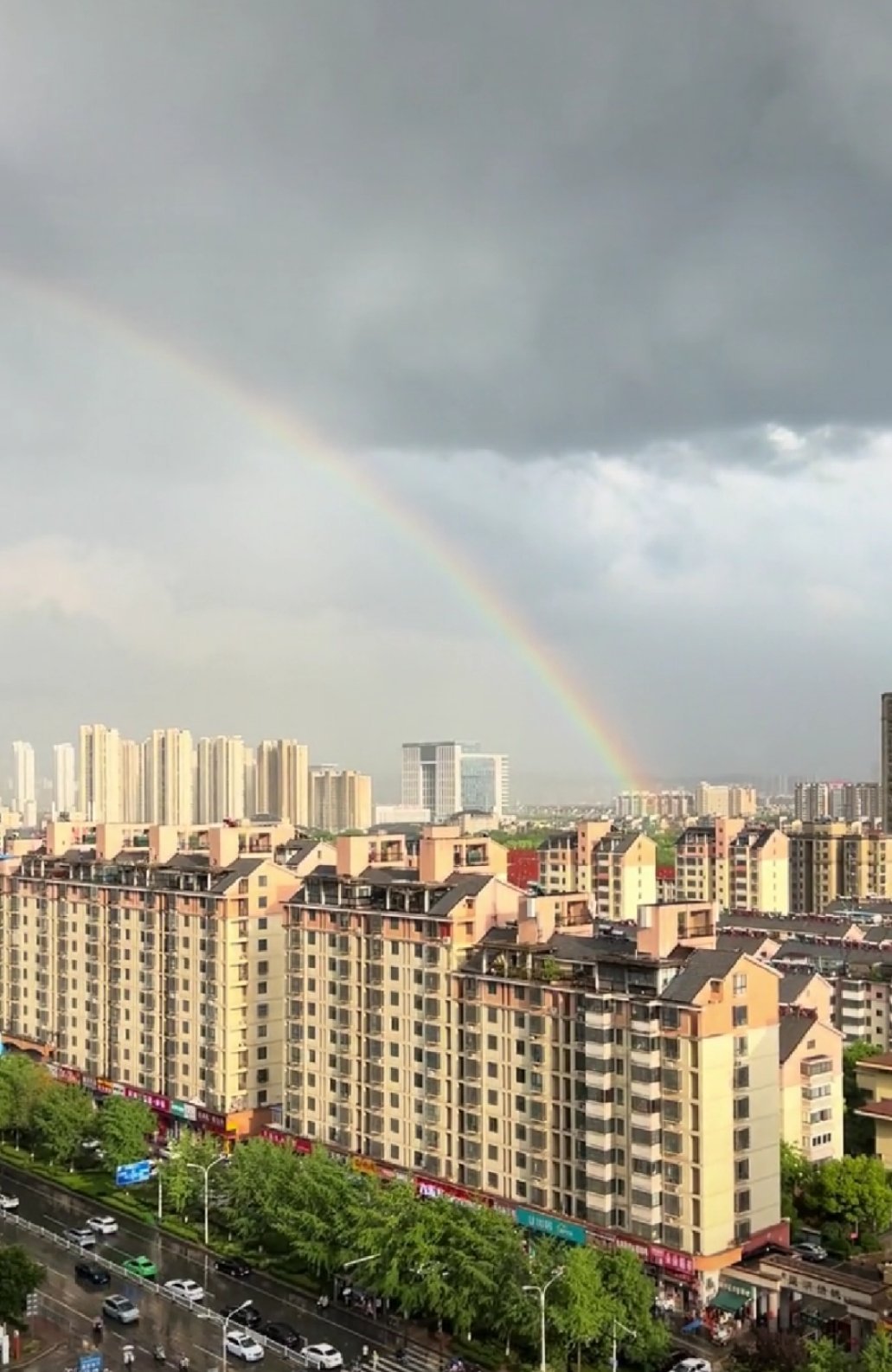 🌈 ​​​