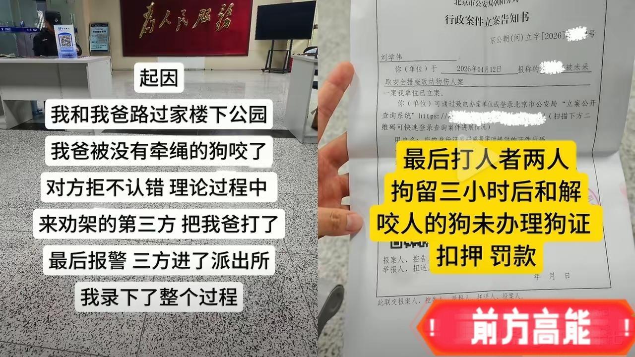 北京的傍晚，女子和父亲在家附近的公园被没拴绳的狗咬了。这时候过来两个“劝架”的，