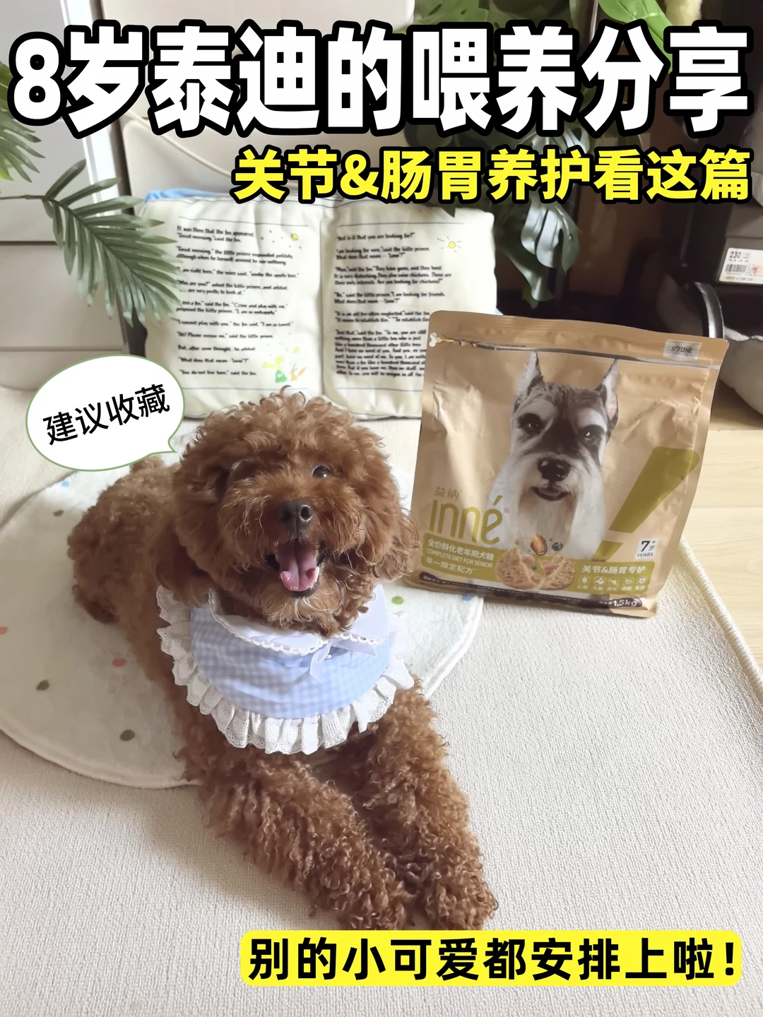 年龄大不爱动？狗狗关节养护要从饮食做起