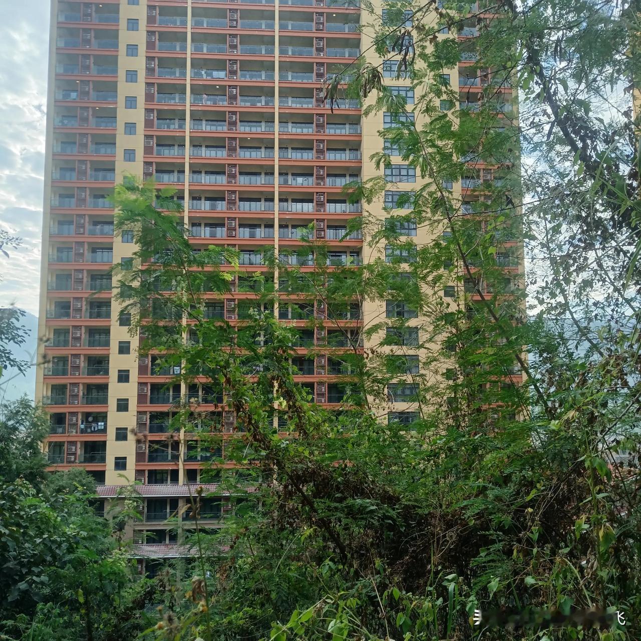 每天下班后，看看书，写写字，出外欣赏美景，生活诗意又充实。（图片/自拍）
#秋日