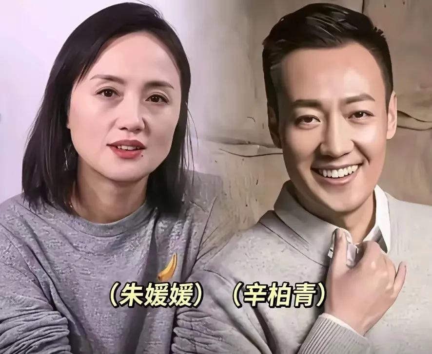 实力派演员夫妻：辛柏青与朱媛媛，张嘉译与王海燕，杨烁与王黎雯，王雷与李小萌，陆毅