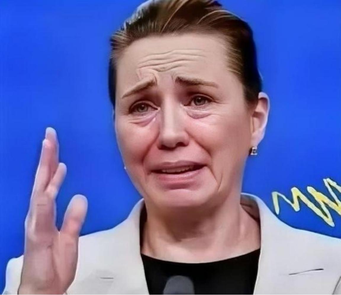 丹麦政府痛恨中国，丹麦的外交大臣拉斯穆森表示，过去不允许中国对格陵兰岛投资，现在