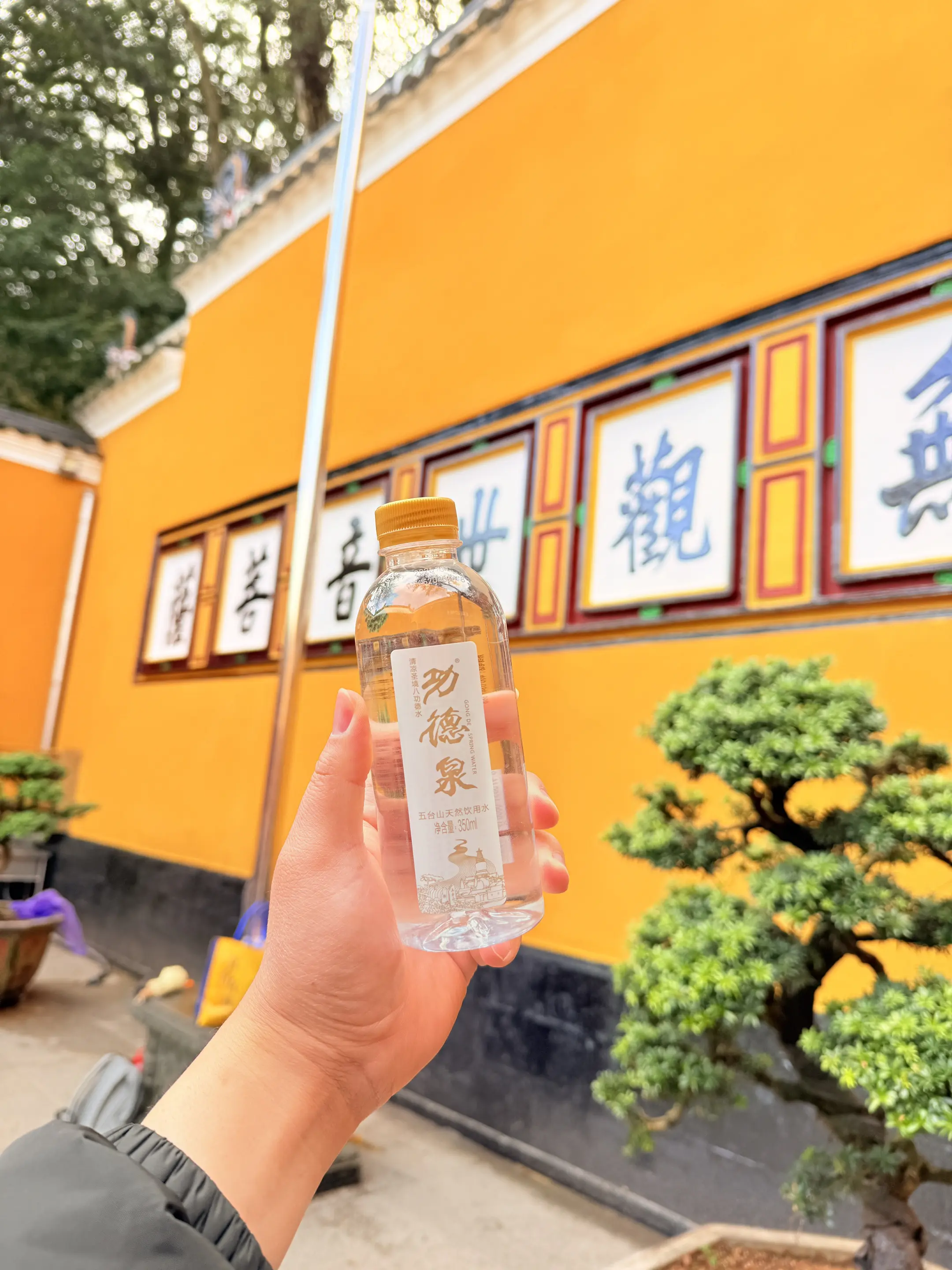 在佛教文化里，它被视为“圣水”，拥有八种殊胜功德：慈悲澄净，让人心念纯...