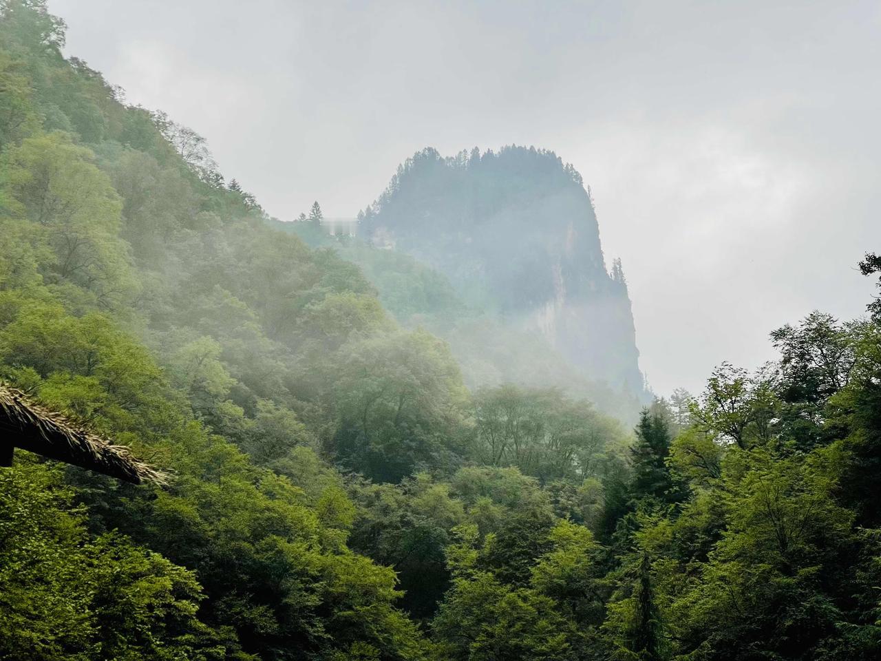 雨洒官鹅沟，雾漫险峰岭！