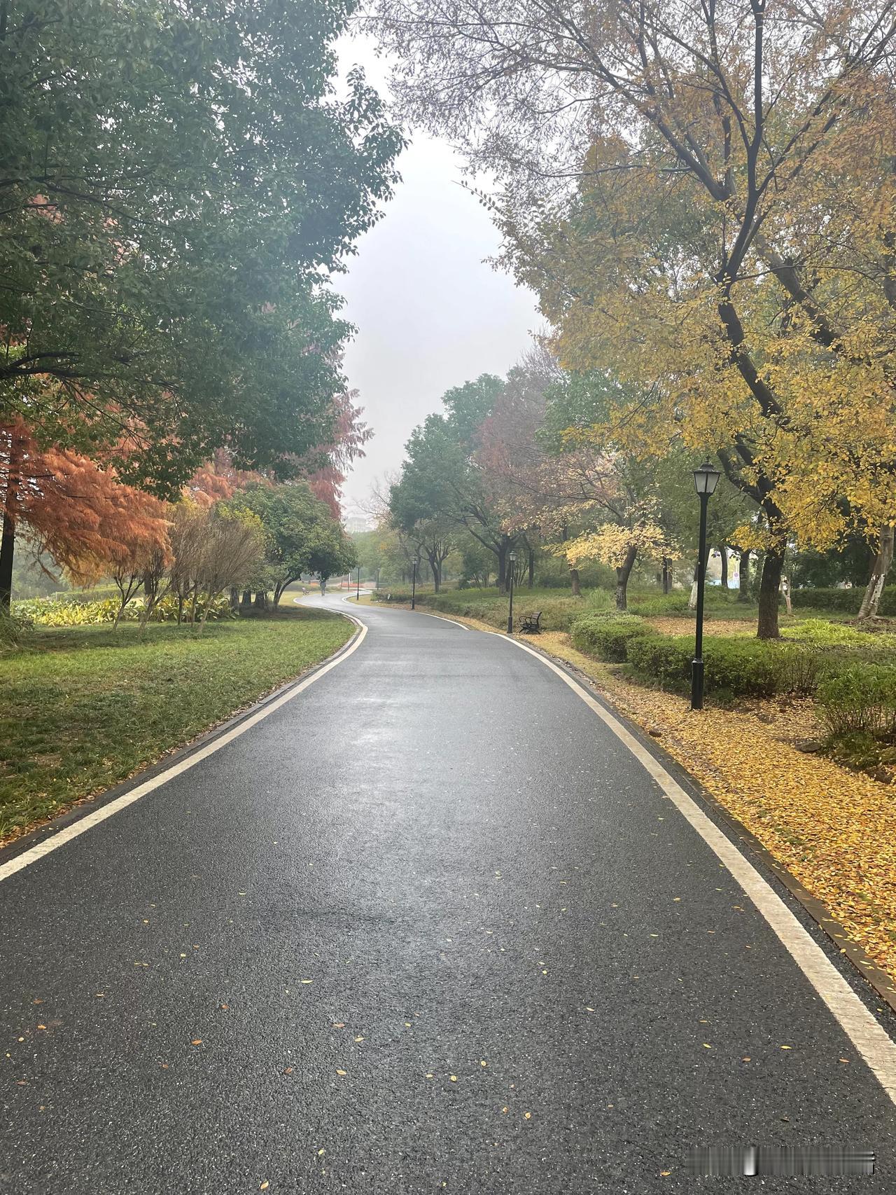 雨后的清晨……