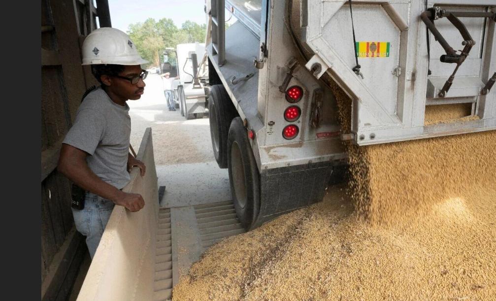 中美关系确实好起来了，消息称，中国至少采购10船美国大豆，延续了在近期中美贸易关