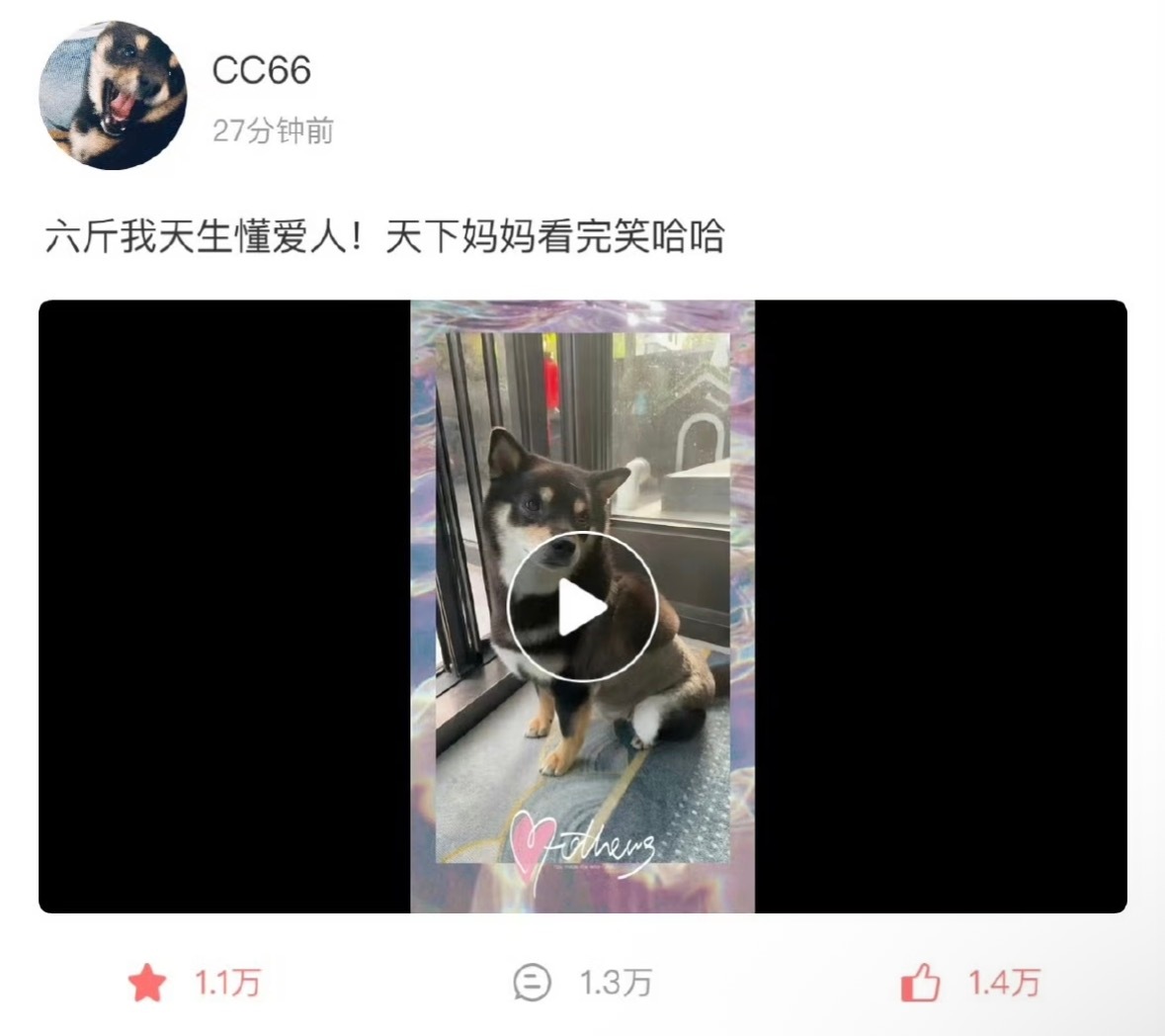 说我们是六斤的妈咪 又说爸妈意思是我们的爸妈 哥哥已经把我们当一家人了🥰 