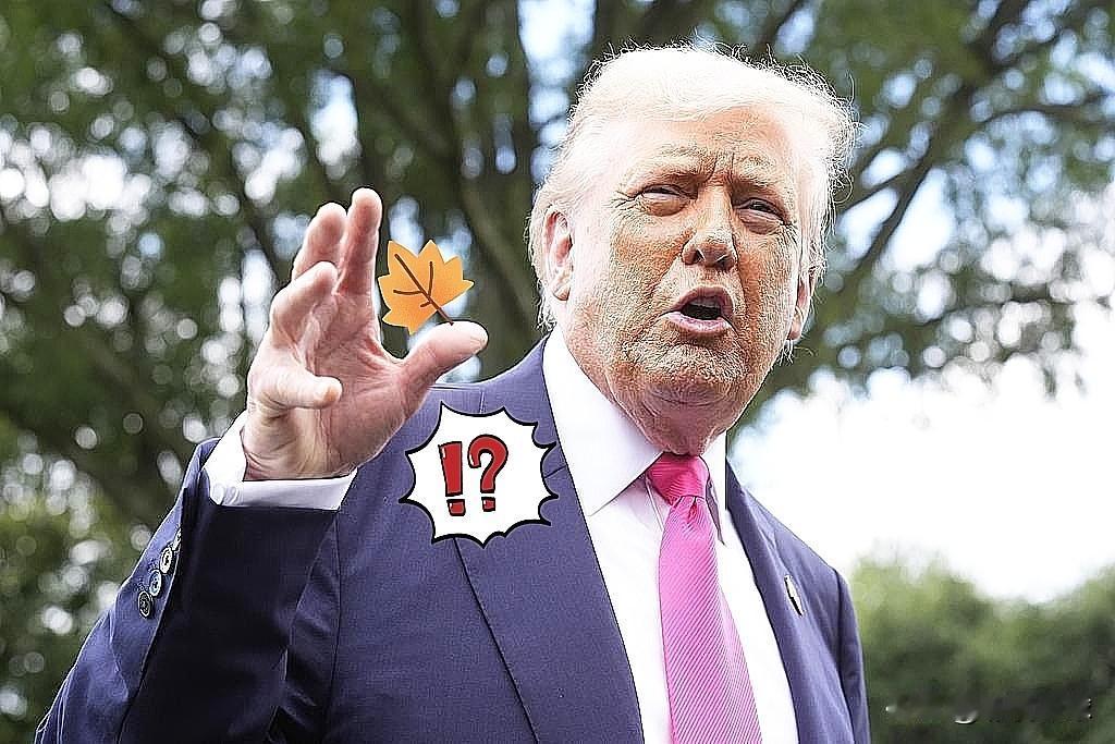 快讯！快讯！
美国总统特朗普正式宣布了

10月5日，美国总统特朗普在白宫宣布了