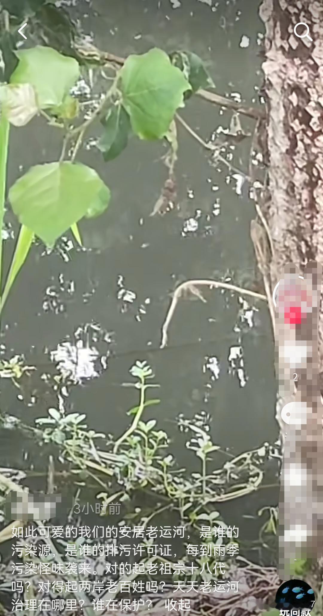 【安居老运河现死鱼浑浊，2.5亿治理成效引质疑】近期有网友通过抖音平台发布视频，