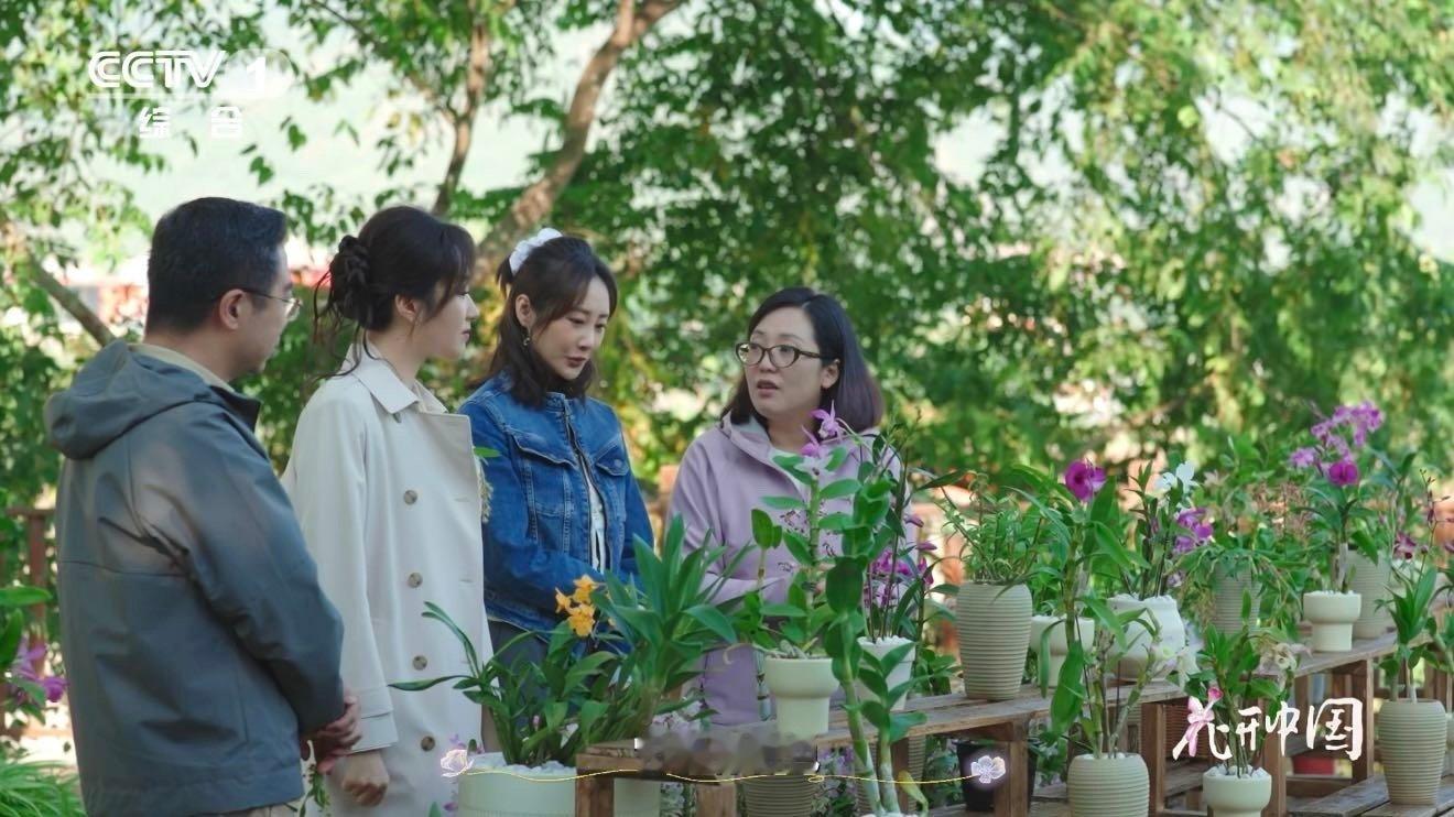 这种花的名字又好喝又可爱会扭腰的花太俏皮了 兰科特色品种咖啡羚羊石斛，花瓣卷曲如