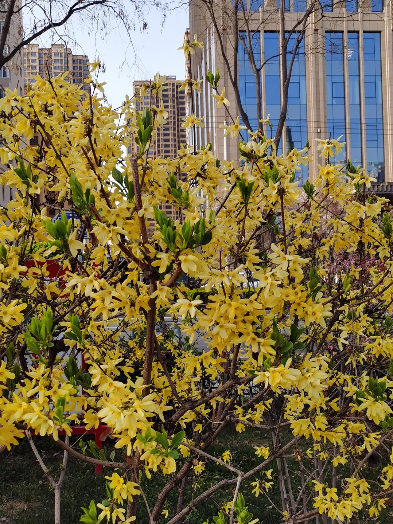 金昊于4月3日被执行死刑。案件发生在2025年8月23日，妻子发现他与别的女人发