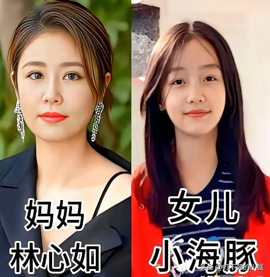 来看看这些女明星和她们的小棉袄，强大的遗传基因藏不住。
林心如女儿小海豚，伊能静