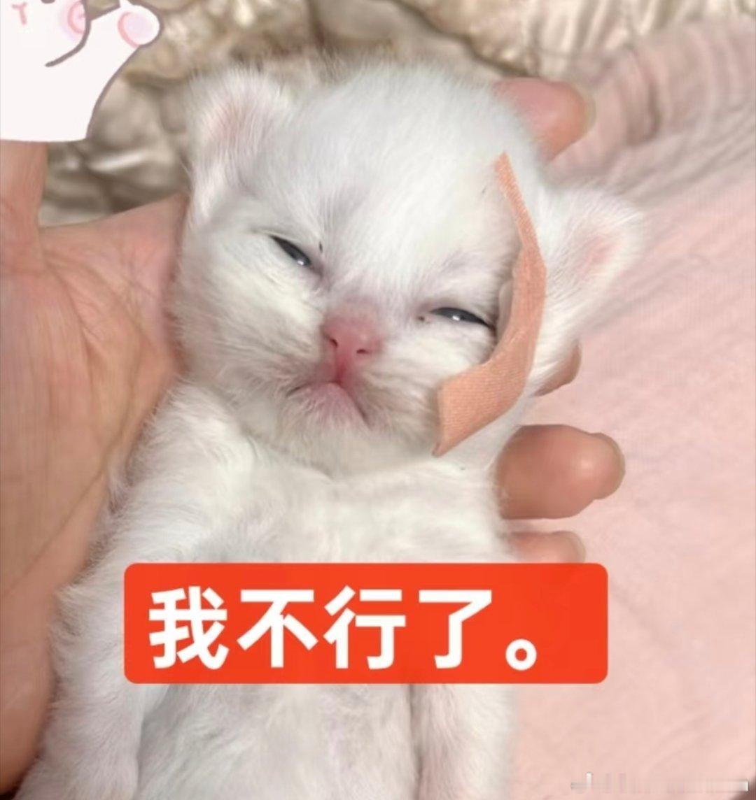 是时候躺在小伯伯并不宽厚的胸膛上大哭一场了 