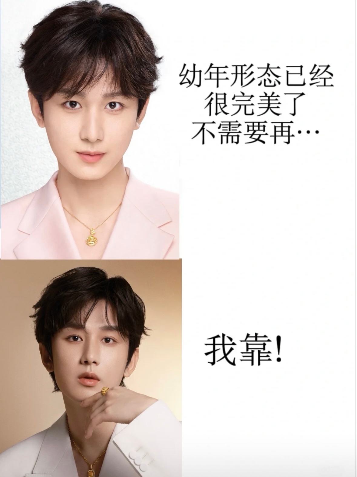 品牌系列也是肉眼可见的更加美味了