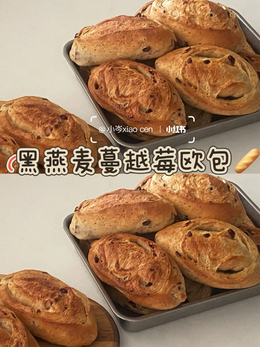 黑燕麦蔓越莓软欧包｜直接法 简单易做