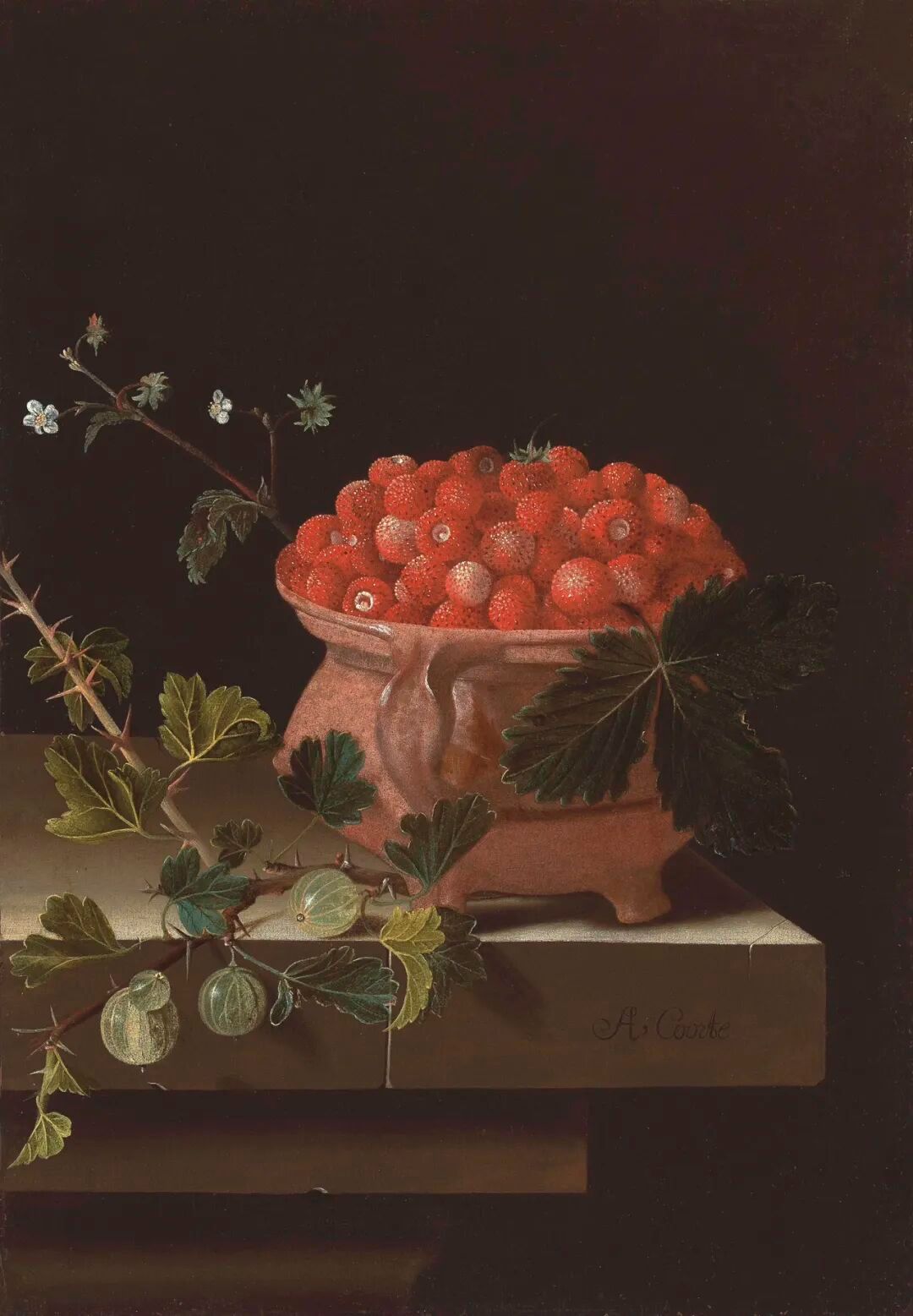 Adriaen Coorte 