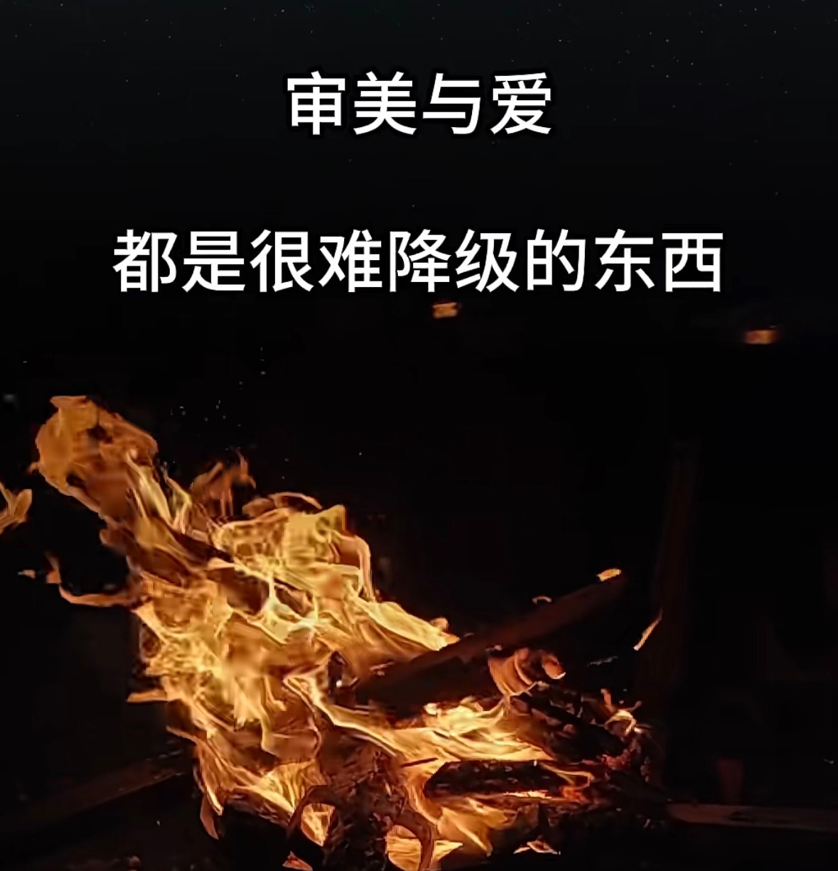 生活手记低物欲小清新追求精神财富没有错啊可怕就是这样的文艺咖觉得自己高人一等才恶