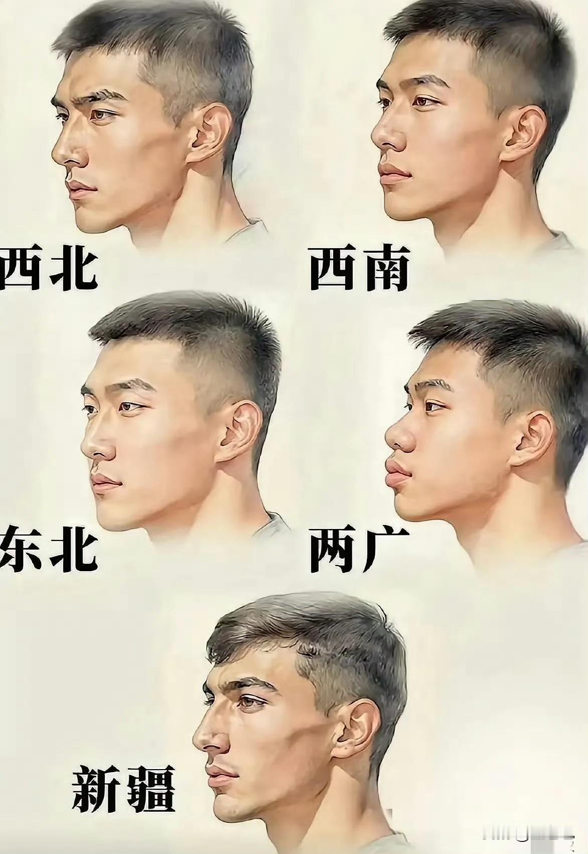 哈哈，西北西南真的完美的踩在了我的审美点上，现实中人均颜值真有这么帅吗？[偷笑]