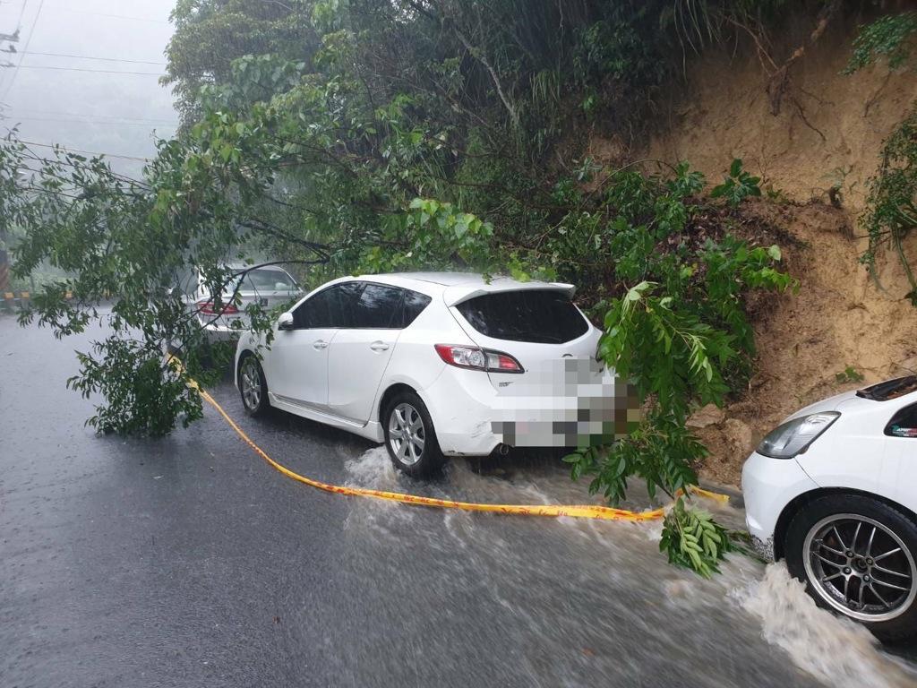 马千惠大骂蒋万安。
受台风“米克拉”外围环流带来的强降雨影响，6月25日台北市内