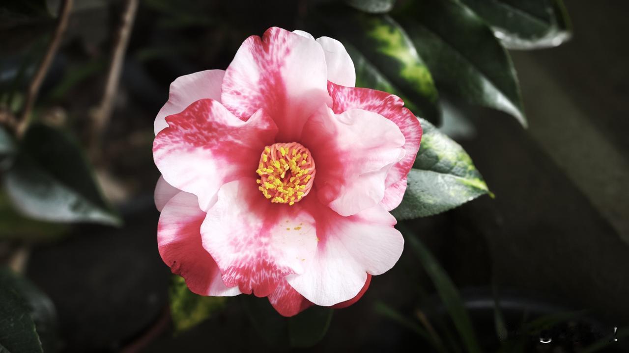 如果父母经常吵闹，指责孩子，孩子的性格就会自卑，容易受惊吓，畏手畏脚，多疑，性格