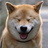 乖甜甜品品军事