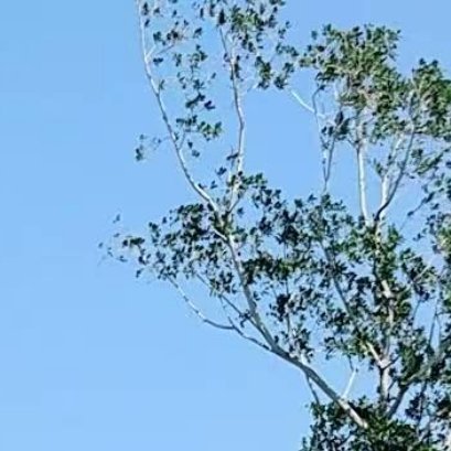1900每一个孤独的时分，每一个冷眼鄙夷自己的时刻，每一个清晨与黎明，黄昏和傍晚