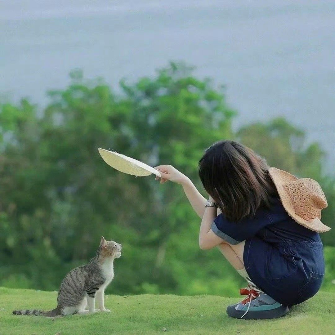 别贪心，我们只拿属于自己的好运。——朱德庸 