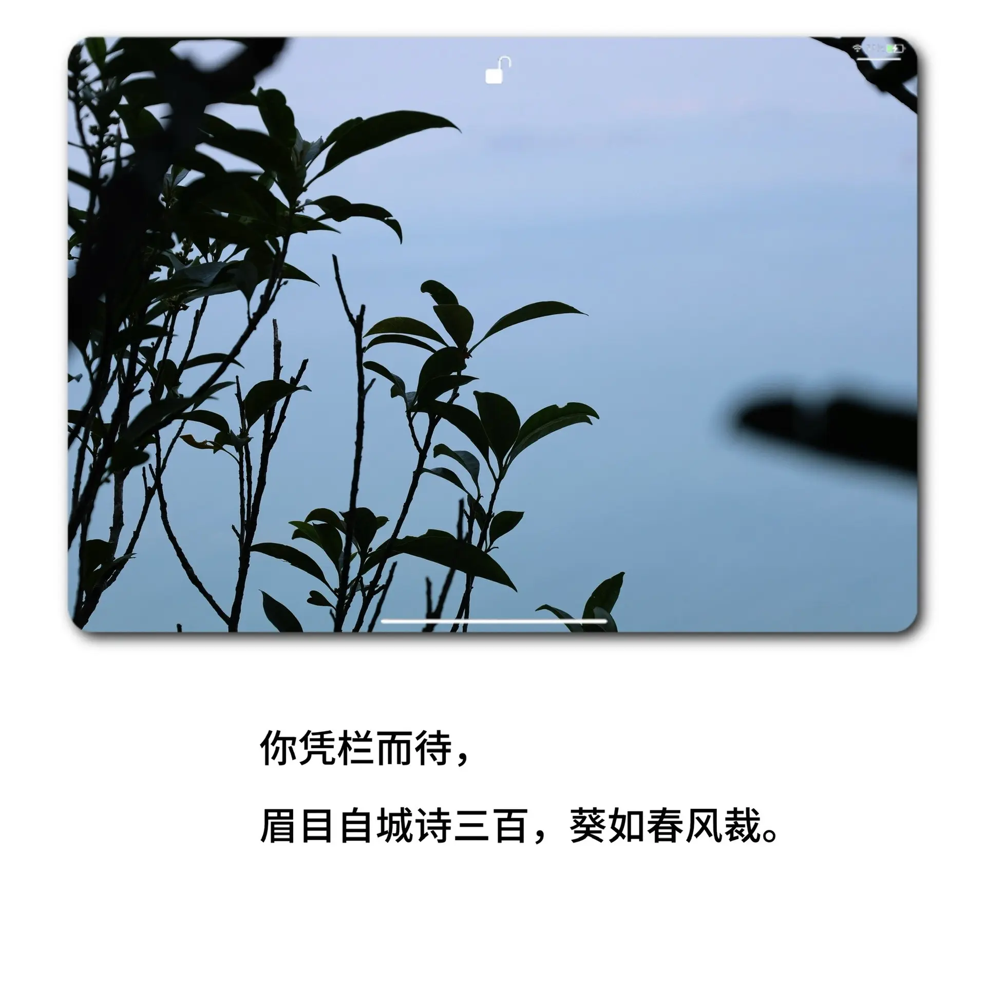 美得一塌糊除的古风句子