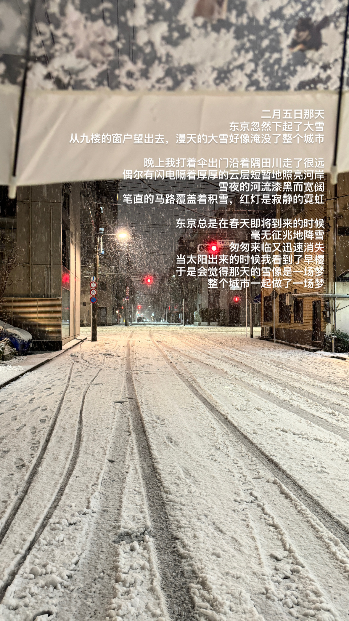 一个温暖的冬天结束了，许多瞬间回想起来都像一场梦。Plog vol.84  ​​
