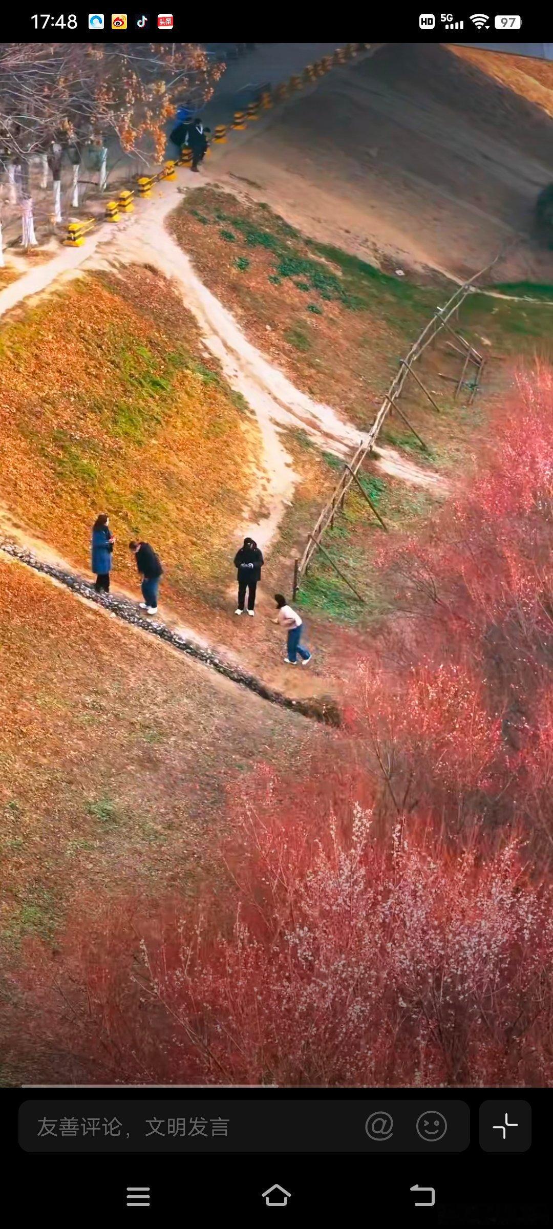 西安河堤路的梅花开好了春寒还没褪尽，河堤路的梅花已抢先炸开了枝头。粉的像揉碎的朝
