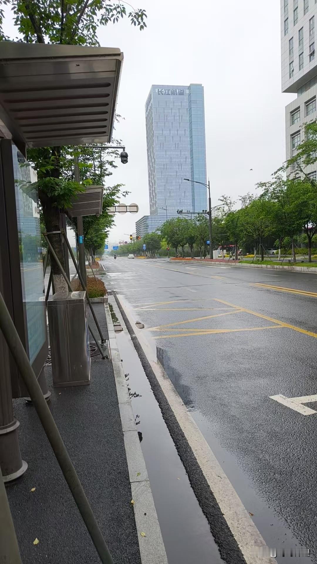 天刚蒙蒙亮，细密的雨丝就裹着寒气落了下来。我撑着伞站在公交站台，裤脚还是被溅起的