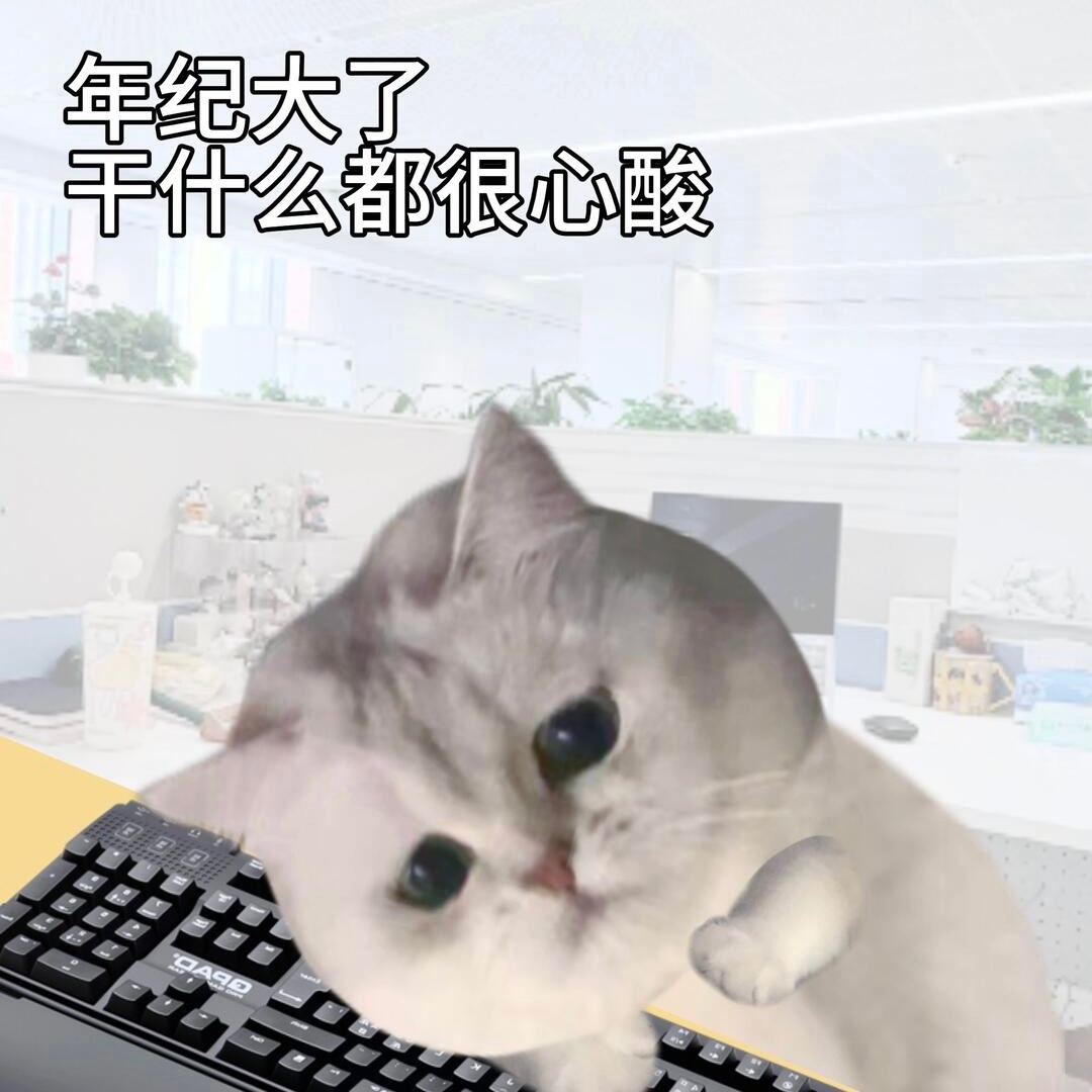 慢工出烂活，欲速则一坨。 
